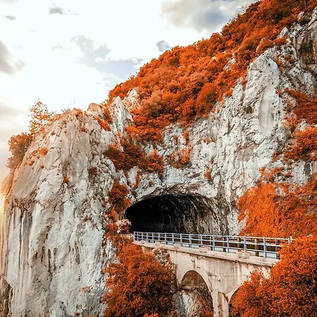 特蕾西娅泰勒公寓式酒店 公寓式酒店 4*