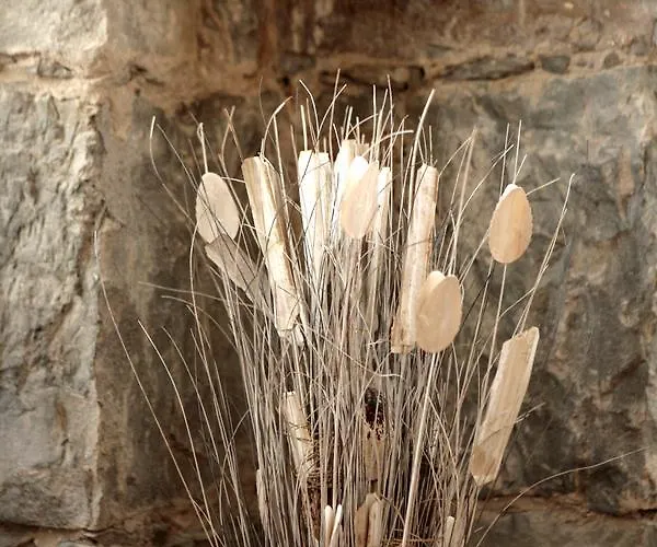 Theresia- Tailor Made Apart Otel