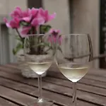 特蕾西娅泰勒公寓式酒店 公寓式酒店