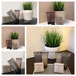 特蕾西娅泰勒公寓式酒店 公寓式酒店