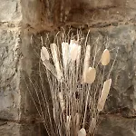 特蕾西娅泰勒公寓式酒店 公寓式酒店