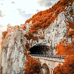 特蕾西娅泰勒公寓式酒店 公寓式酒店 4*