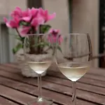 特蕾西娅泰勒公寓式酒店 公寓式酒店