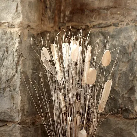 Theresia- Tailor Made Apartmanhotel